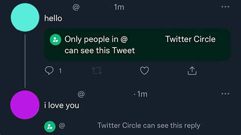 Twitter Circle .